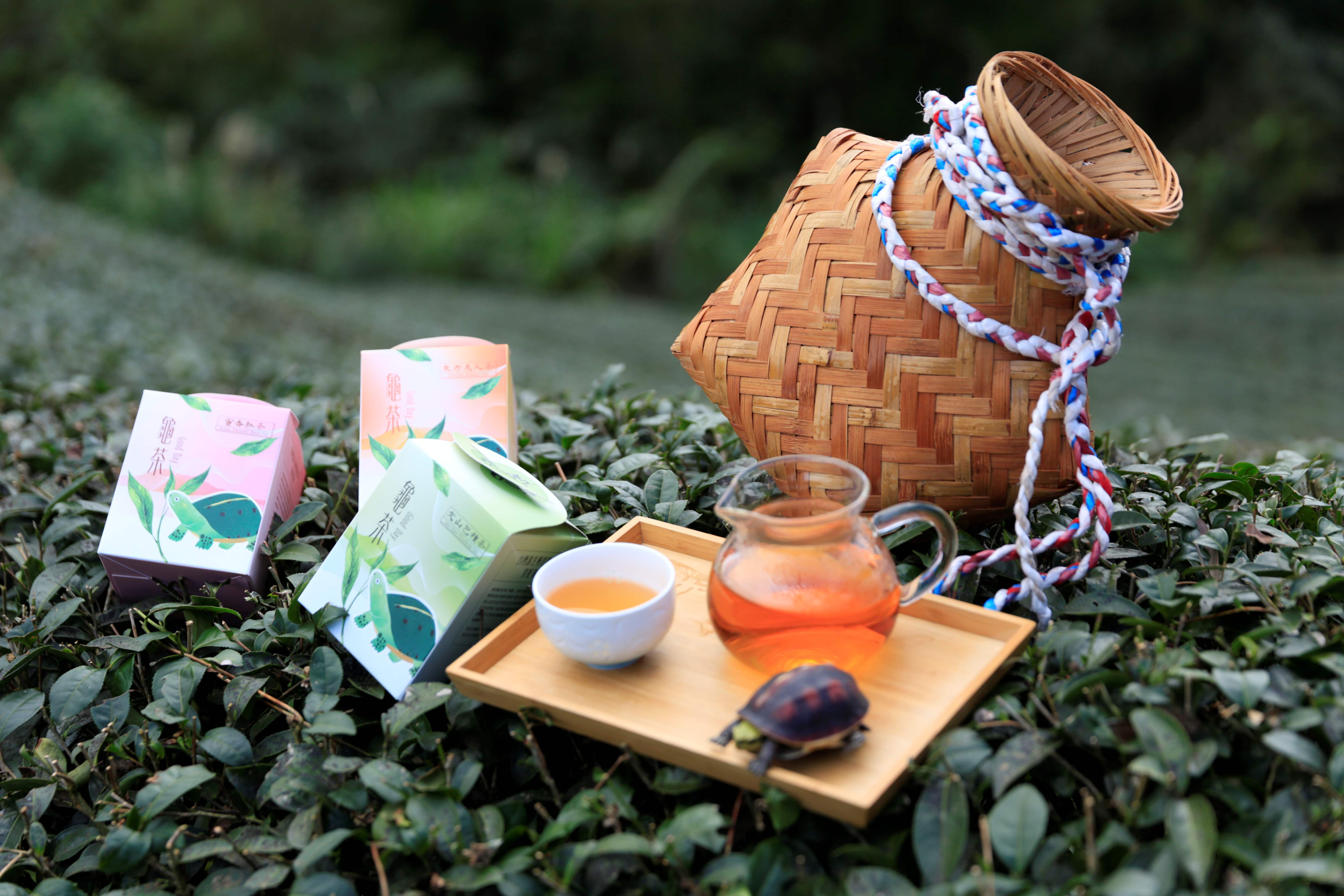 石碇永安社區推出龜茶GoodDay(攝影：蔡和成，照片來源：新北市石碇區永安里辦公處)_0