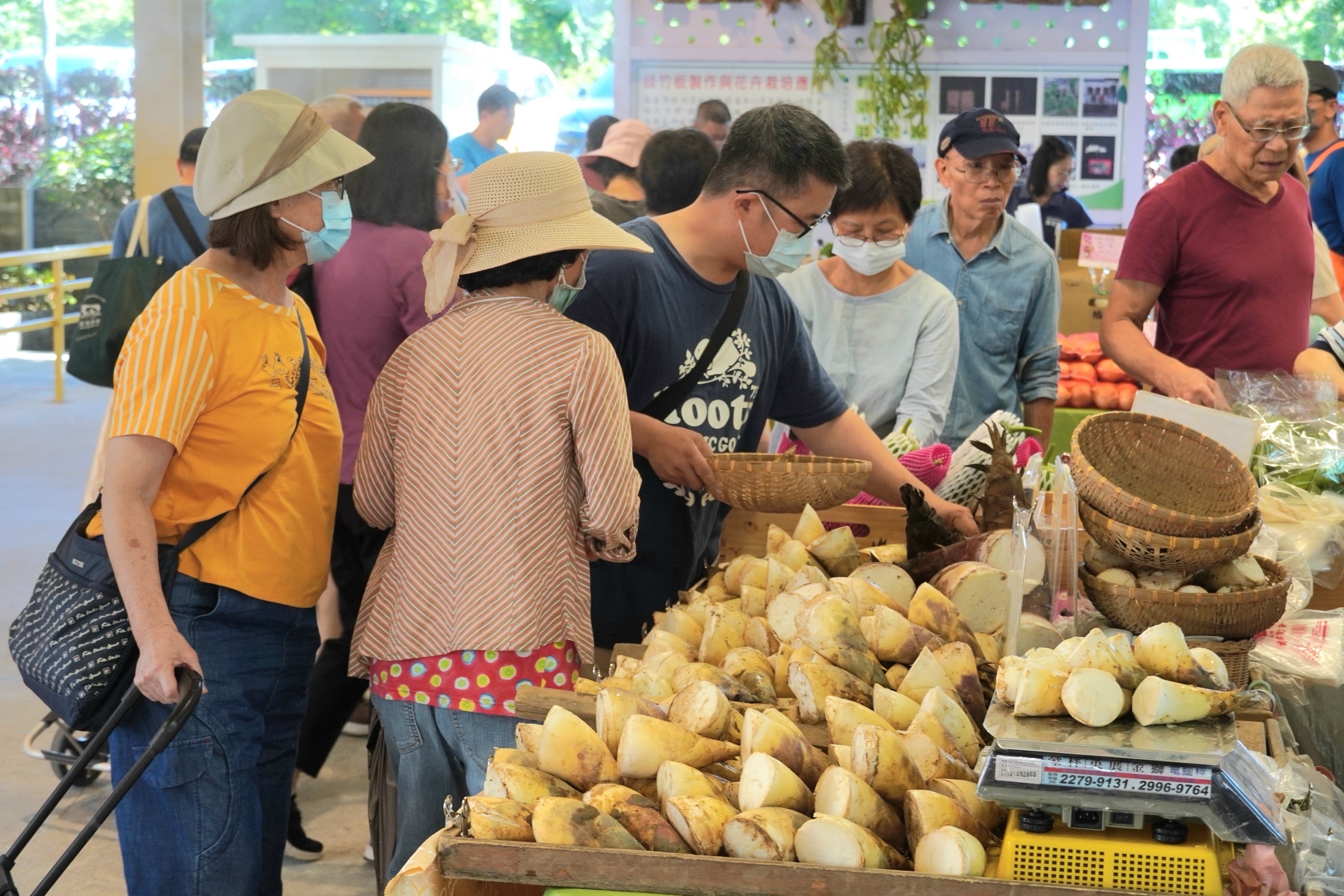 明(29)日在希望廣場有新北健康三寶綠竹筍展售會